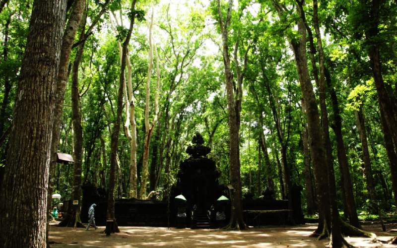 Keangkeran Alas Purwo Banyuwangi