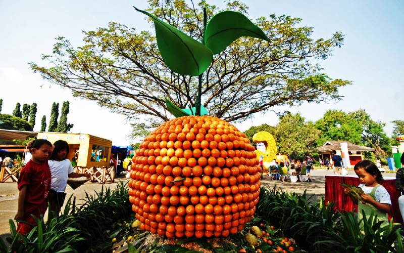 Taman Buah Mekarsari