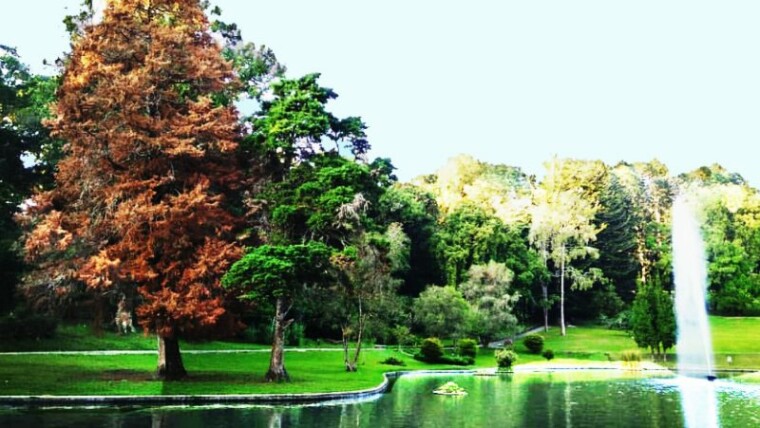 Kebun Raya Cibodas