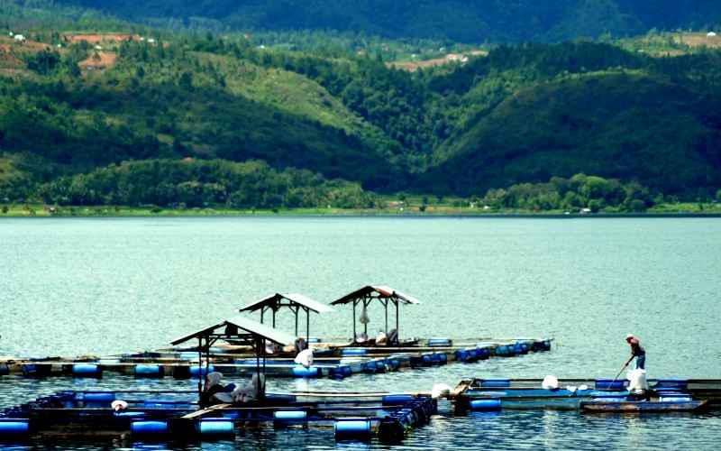 Danau Singkarak