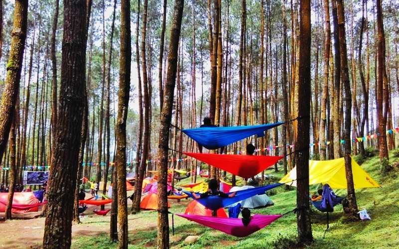 Hutan Pinus Kragilan