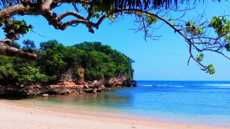Pantai Ngliyep