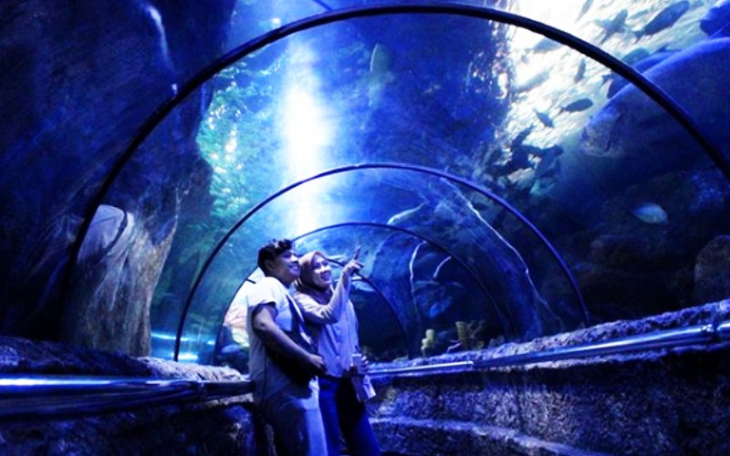 Seaworld Ancol