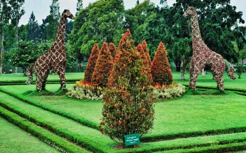 Taman Bunga Nusantara