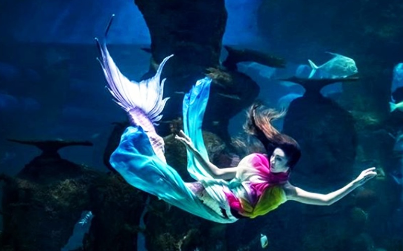 Jakarta Aquarium
