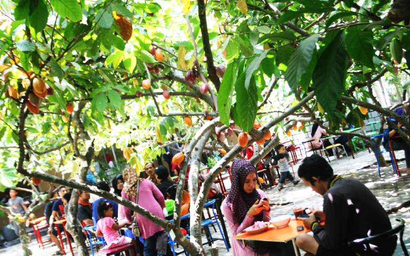 Kampung Coklat Blitar