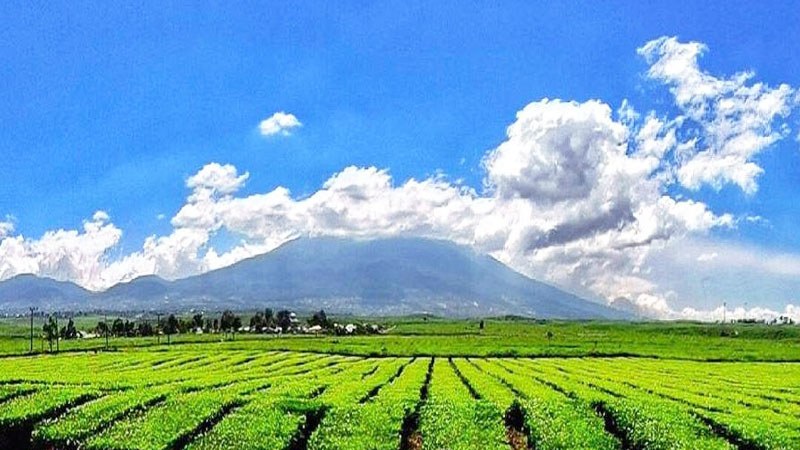 Tempat Wisata di Wonosobo