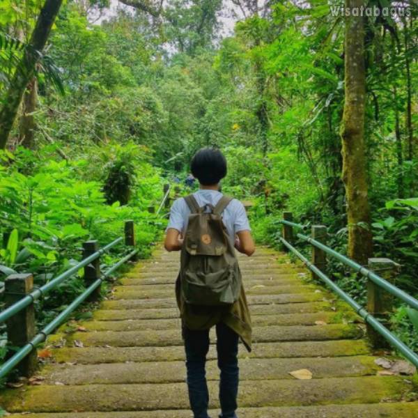 Curug Cibeureum Berapa Mdpl