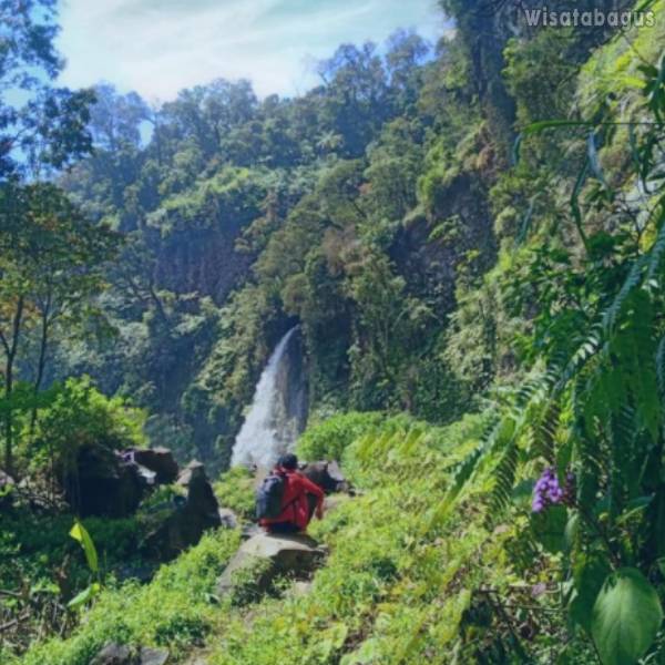 Curug Cibeureum Cibodas